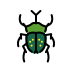 Beetle transparent PNG