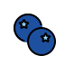 Blueberries transparent PNG