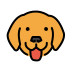Dog face transparent PNG
