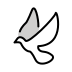Dove transparent PNG