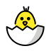 Hatching chick transparent PNG