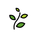 Herb transparent PNG