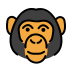Monkey face transparent PNG