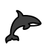 Orca transparent PNG
