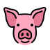 Pig face transparent PNG