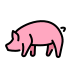 Pig transparent PNG