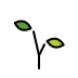 Seedling transparent PNG