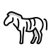 Zebra transparent PNG